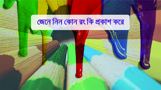 জেনে নিন কোন রং কি প্রকাশ করে
