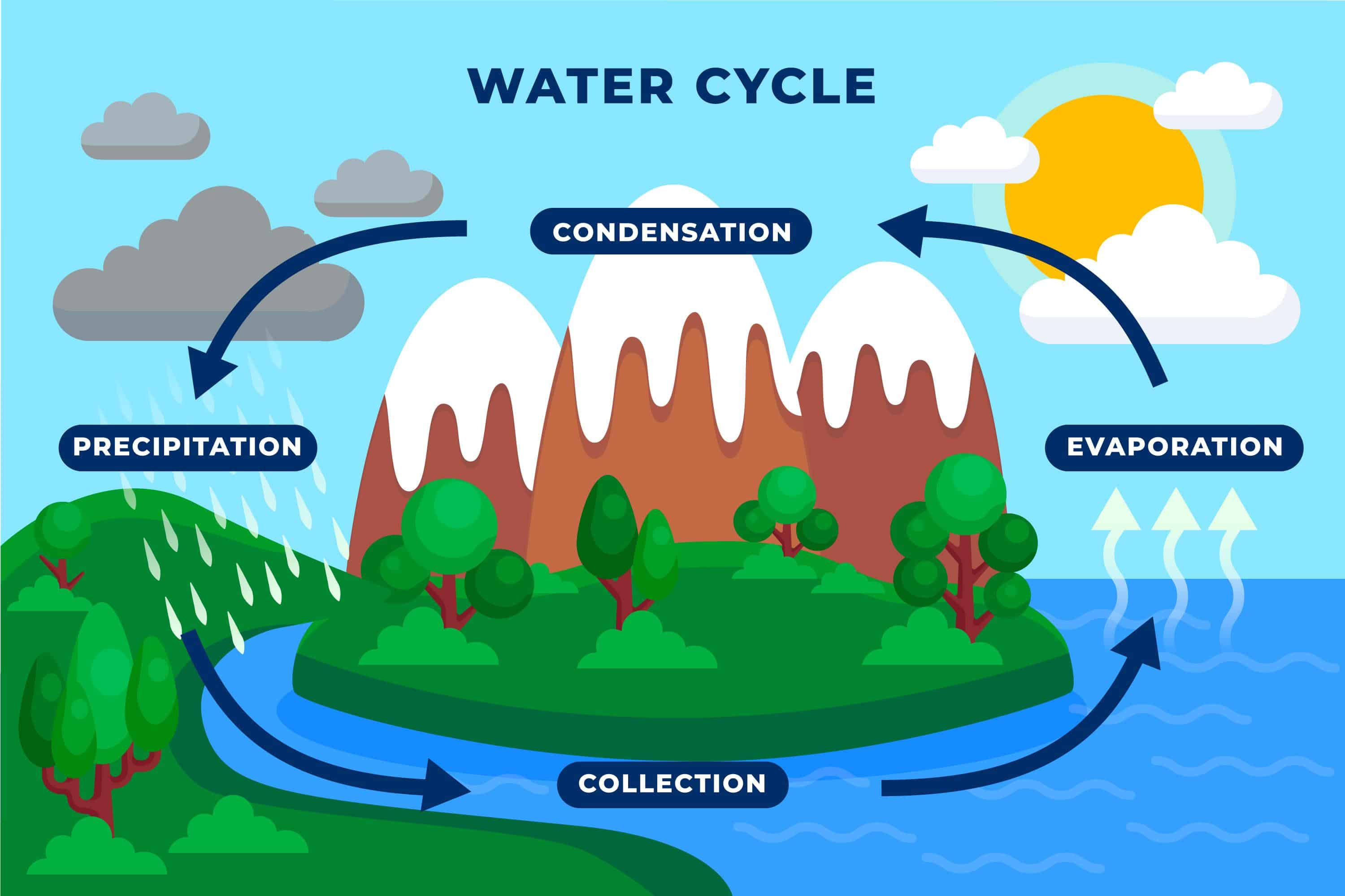 watercycle.jpg