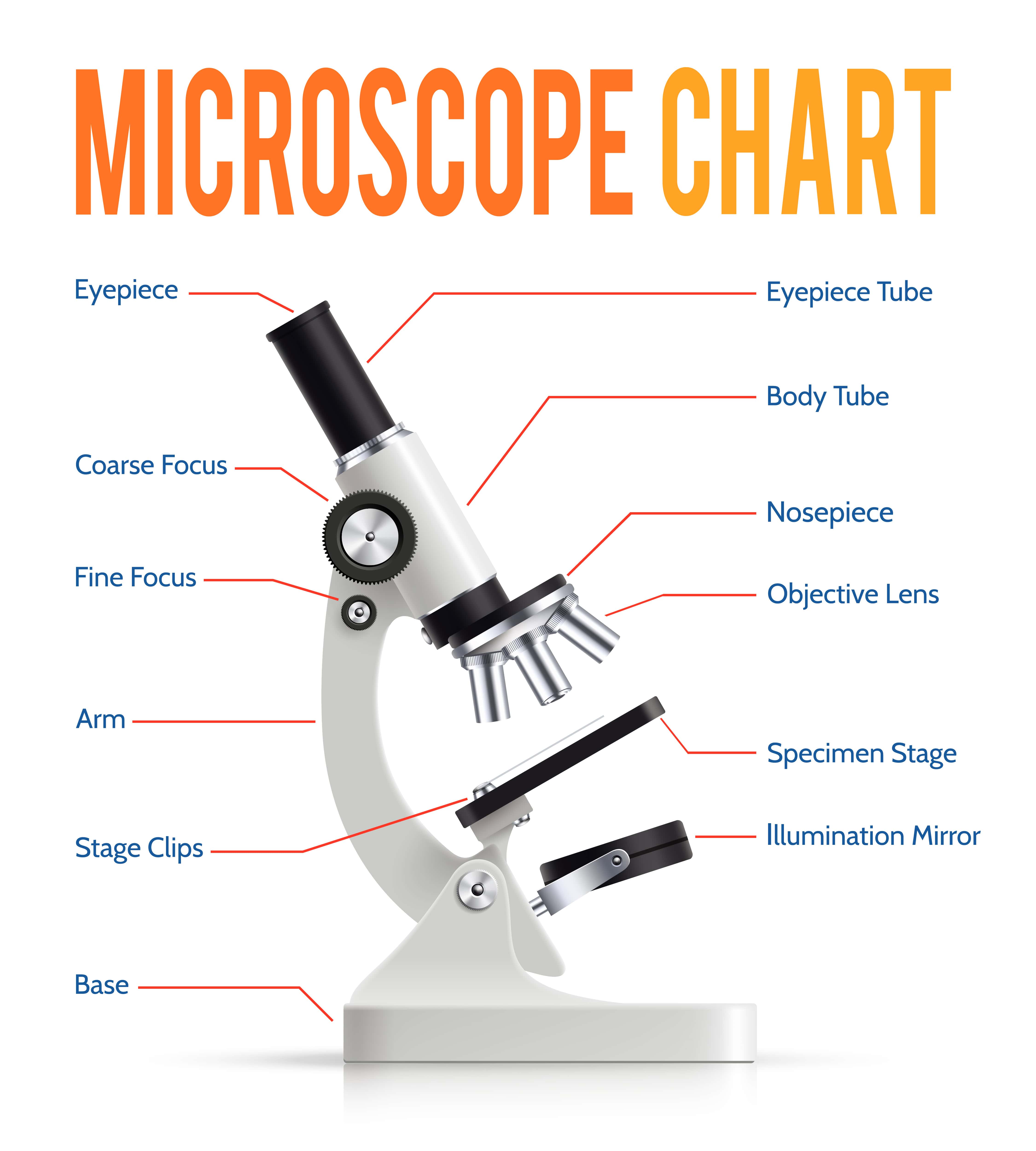 microscopeparts.jpg