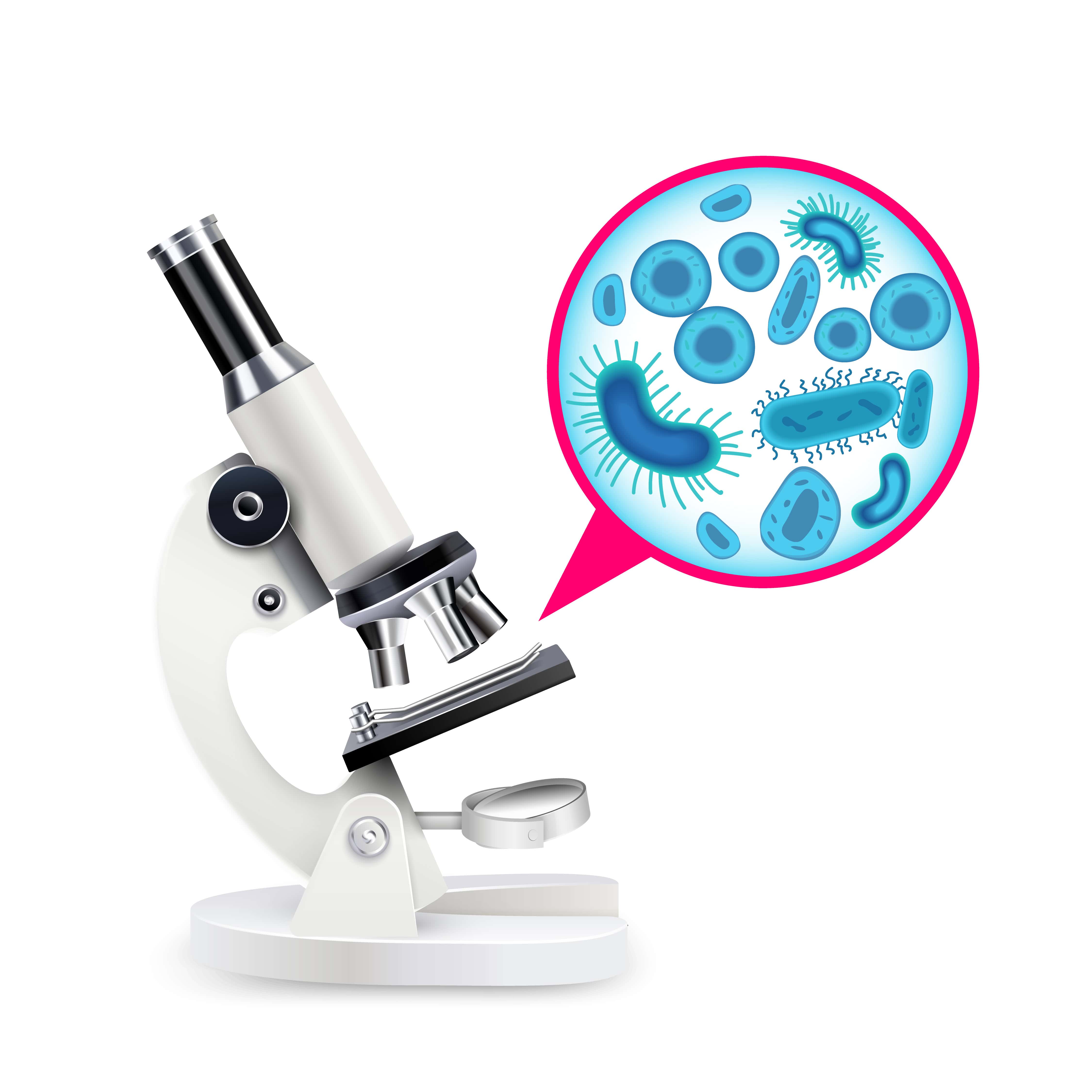 microsoftmicroorganisms.jpg