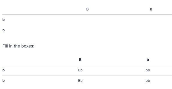bbtable.jpg