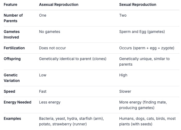 asexualandsexualreprotable.jpg