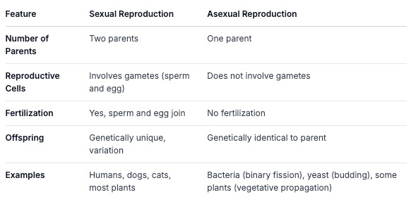 reproduction.jpg