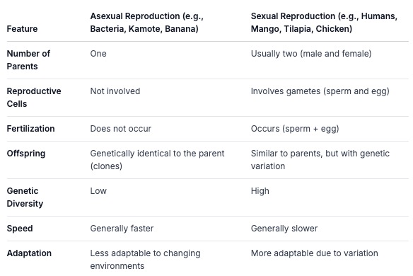 reprosamples.jpg