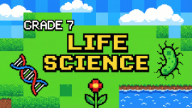 Thumbnail image for course